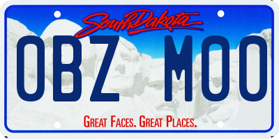 SD license plate 0BZM00