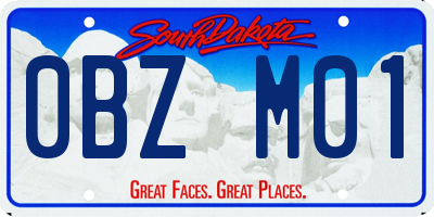SD license plate 0BZM01