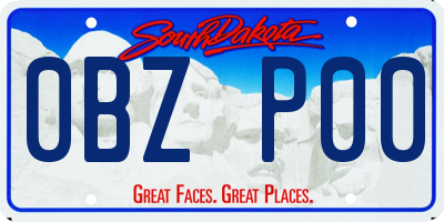 SD license plate 0BZP00