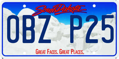 SD license plate 0BZP25