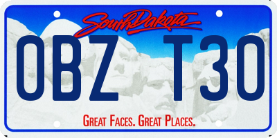 SD license plate 0BZT30