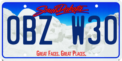 SD license plate 0BZW30