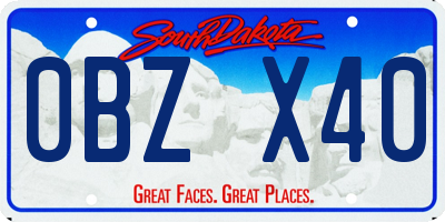 SD license plate 0BZX40
