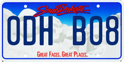 SD license plate 0DHB08