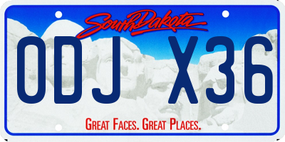 SD license plate 0DJX36