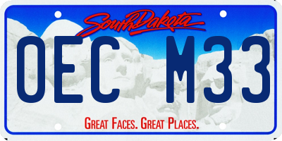 SD license plate 0ECM33