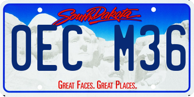 SD license plate 0ECM36