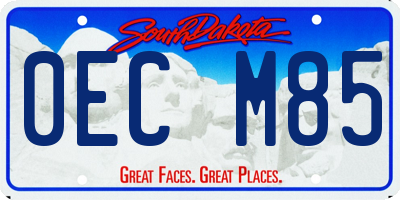 SD license plate 0ECM85