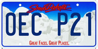 SD license plate 0ECP21