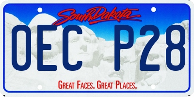 SD license plate 0ECP28