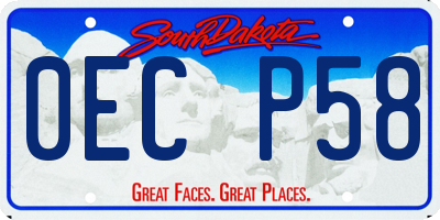 SD license plate 0ECP58
