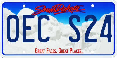 SD license plate 0ECS24