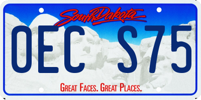 SD license plate 0ECS75