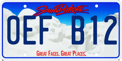 SD license plate 0EFB12