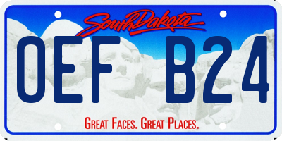SD license plate 0EFB24
