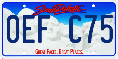 SD license plate 0EFC75