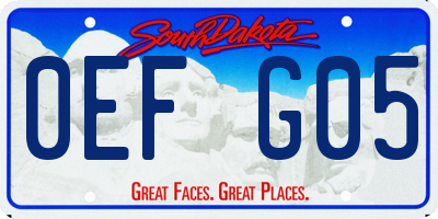 SD license plate 0EFG05