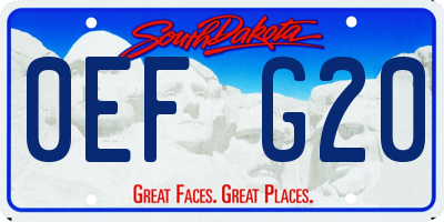 SD license plate 0EFG20