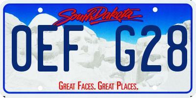 SD license plate 0EFG28