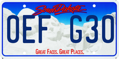 SD license plate 0EFG30