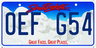SD license plate 0EFG54