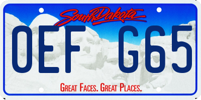 SD license plate 0EFG65