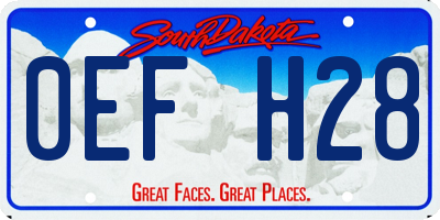 SD license plate 0EFH28