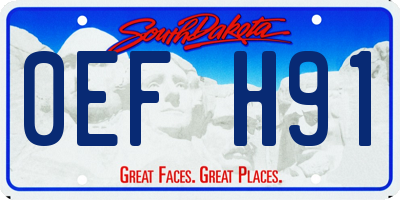 SD license plate 0EFH91