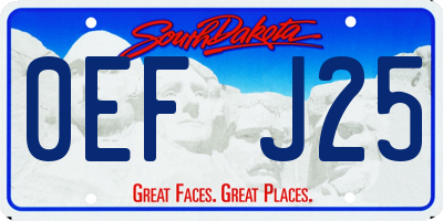 SD license plate 0EFJ25