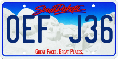 SD license plate 0EFJ36