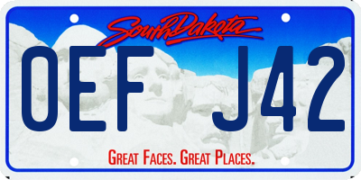 SD license plate 0EFJ42