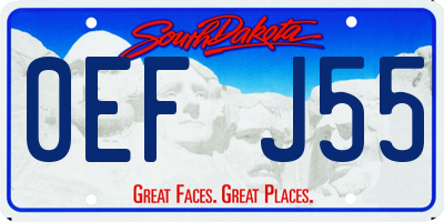 SD license plate 0EFJ55