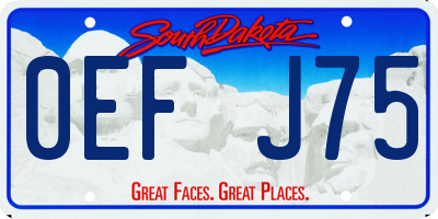 SD license plate 0EFJ75