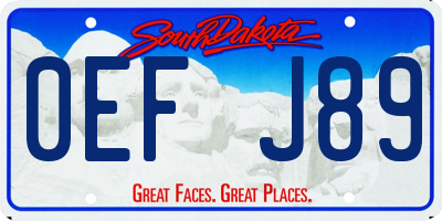 SD license plate 0EFJ89