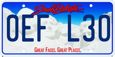 SD license plate 0EFL30