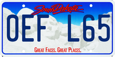 SD license plate 0EFL65