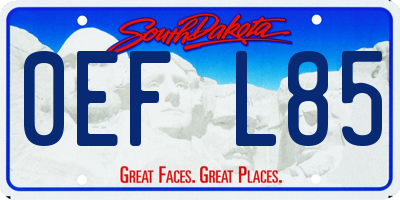 SD license plate 0EFL85