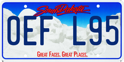 SD license plate 0EFL95
