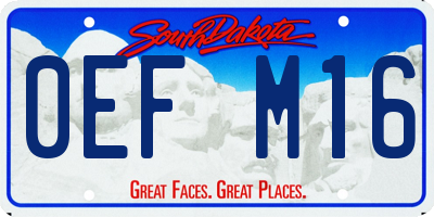 SD license plate 0EFM16