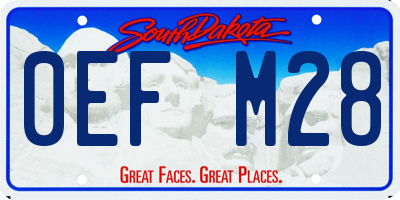 SD license plate 0EFM28