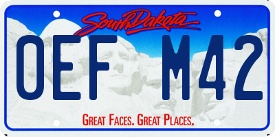 SD license plate 0EFM42