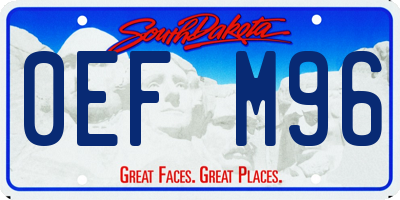 SD license plate 0EFM96
