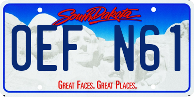 SD license plate 0EFN61