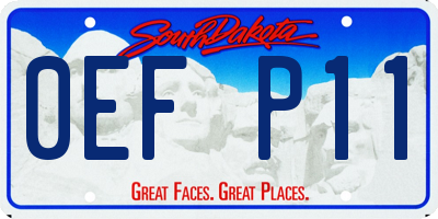 SD license plate 0EFP11