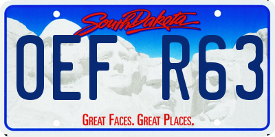 SD license plate 0EFR63