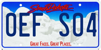 SD license plate 0EFS04