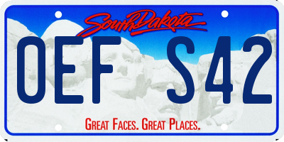 SD license plate 0EFS42