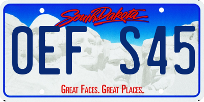 SD license plate 0EFS45