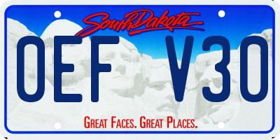 SD license plate 0EFV30