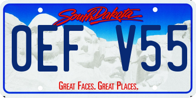 SD license plate 0EFV55